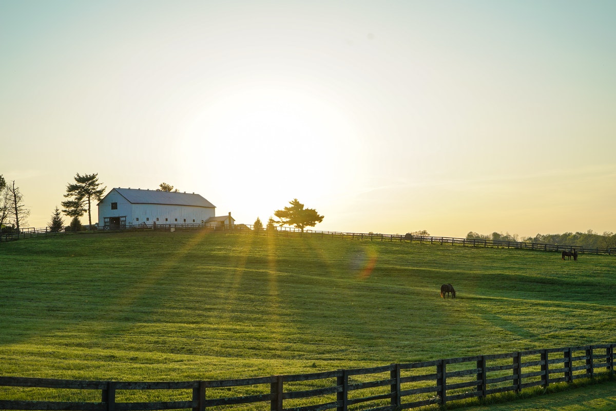 Selecting the Best Livestock Fencing