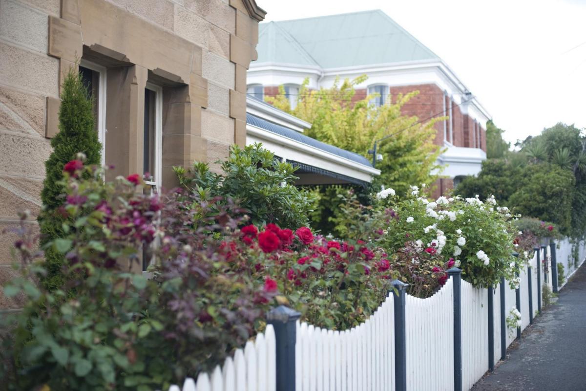 Why You Should Add a Decorative Fence to Your Front Yard