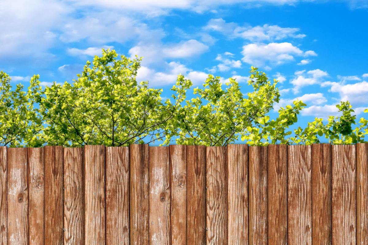 The Four Basic Wood Fence Styles