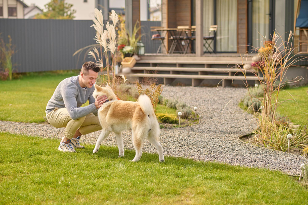 Fencing Tips for Pet Owners to Keep Your Furry Friend Safe and Secure