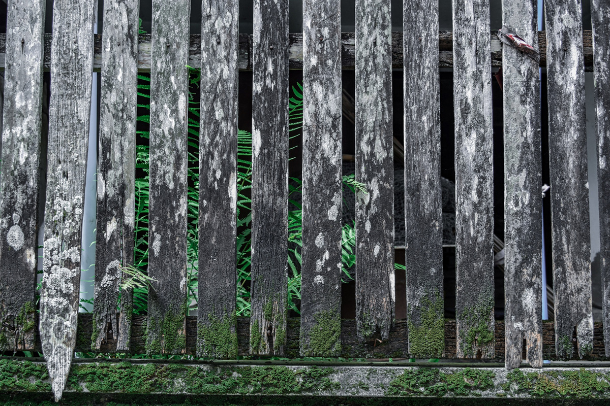 How to Know When Your Fence is Beyond Repair