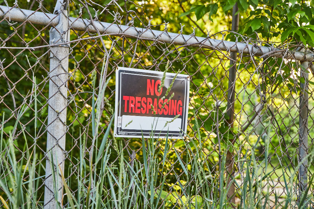Best Fencing Options for Keeping Trespassers Out