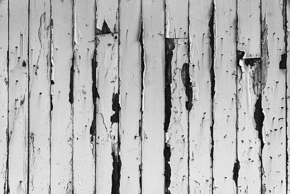 Warning Signs Your Orlando Fence Needs Immediate Repair