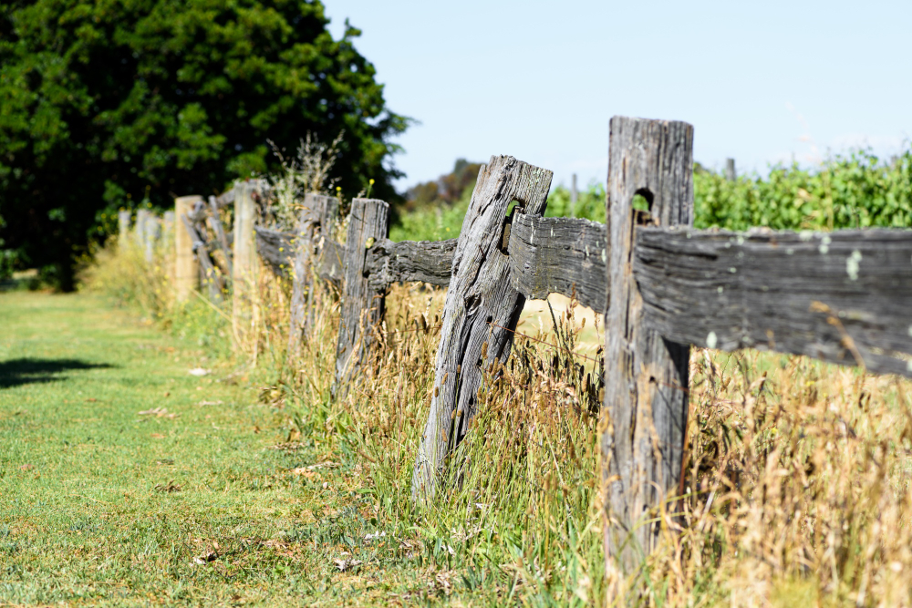 How Florida Weather Damages Fences (and How to Fix It)