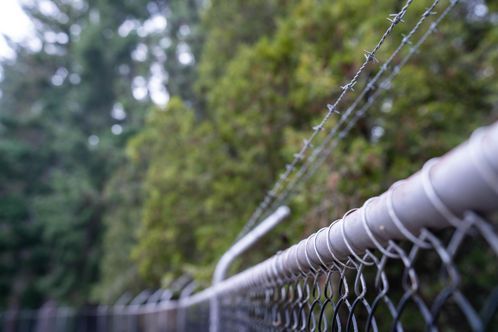 The Ultimate Guide to Anti-Climb Measures for Fences