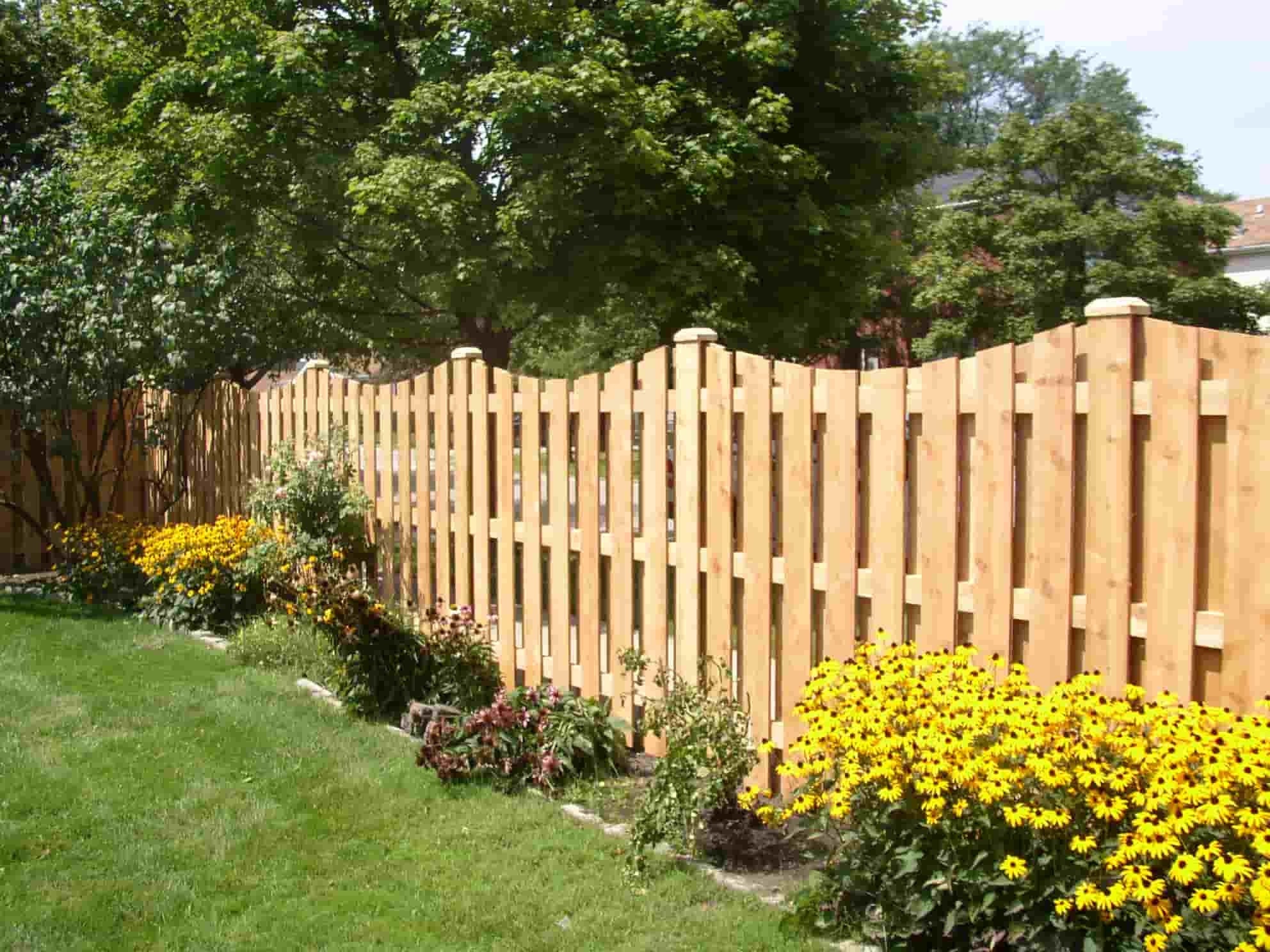 Fixing Green Stains on Wood Fences in Winter Park