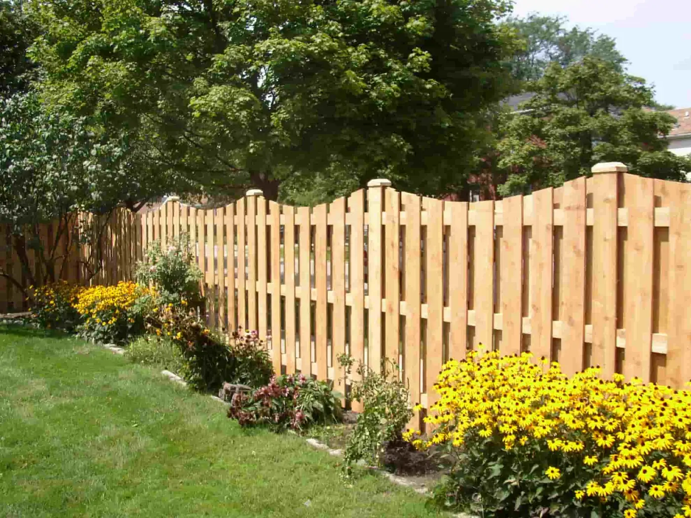 Fixing Green Stains on Wood Fences in Winter Park