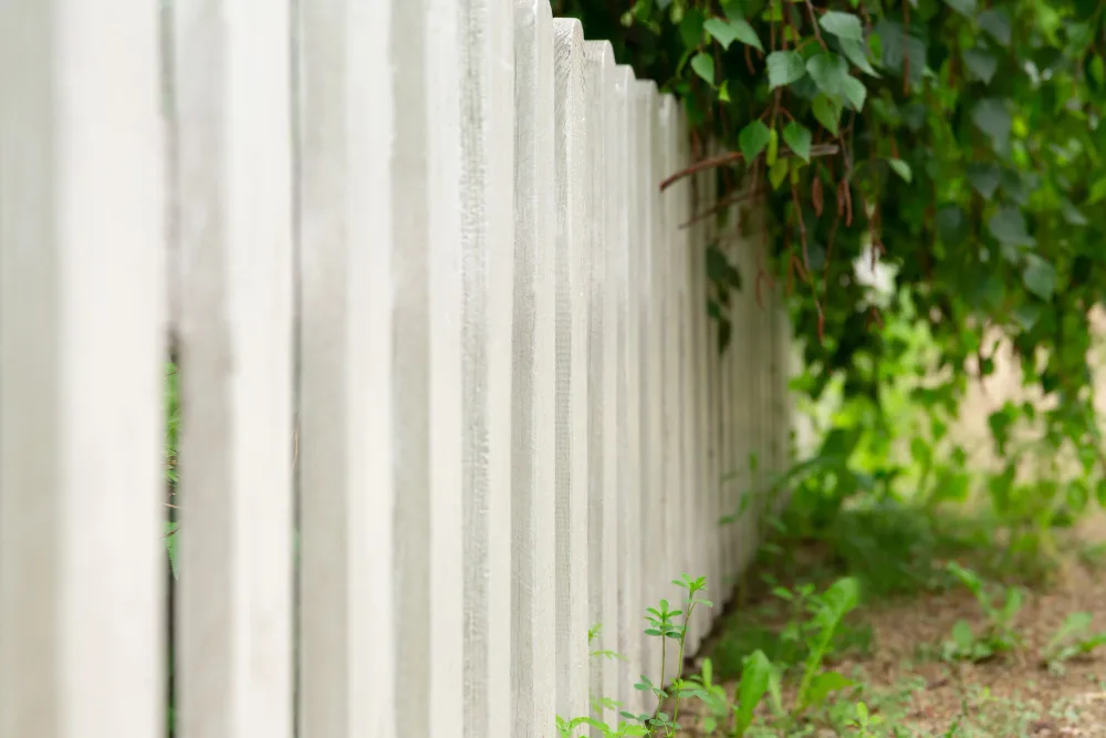 Smart Ways to Make Your Backyard More Private