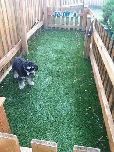 Dog Run Fence installed by Wulff Fence