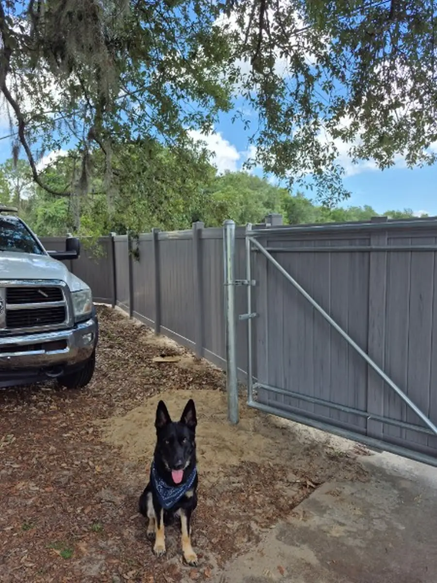 Dark Composite Dog Run and Electric Gate in Altamonte Springs