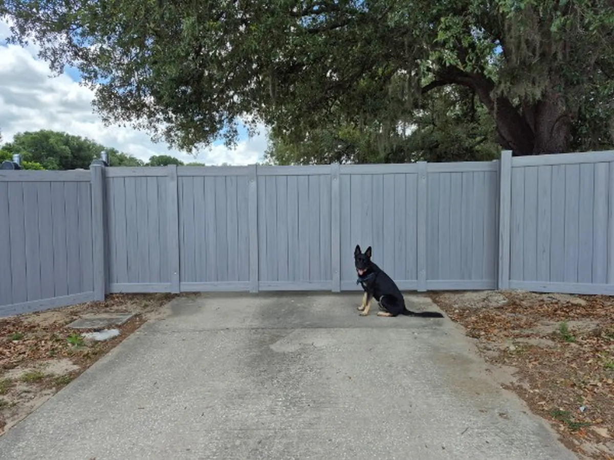 Dark composite dog run fence with electric gate installed by Wulff Fence in Altamonte Springs