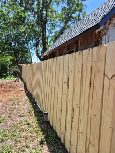 Wood Board on Board Backyard Fence in Maitland