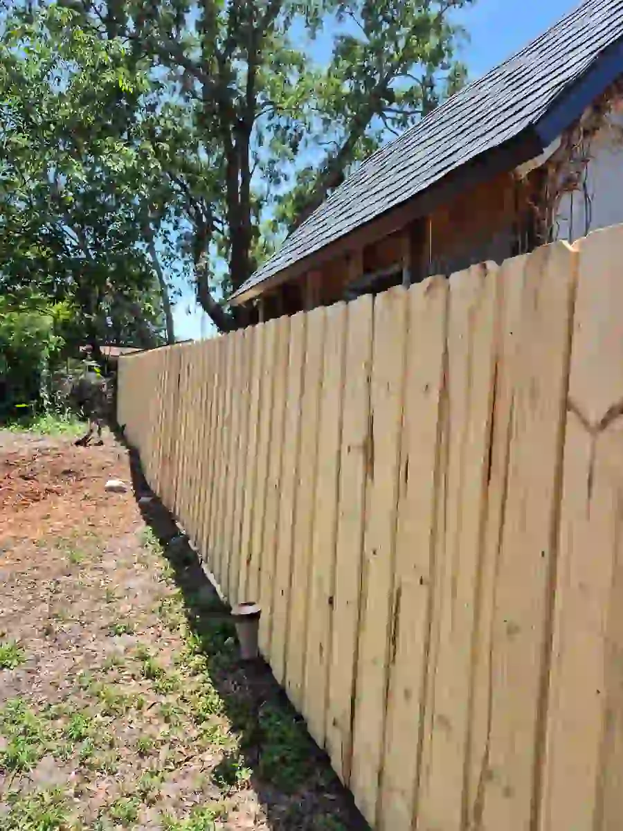 Wood Board on Board Backyard Fence in Maitland